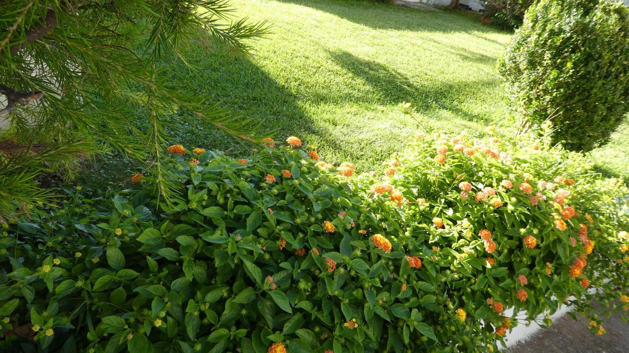 B&B Oliena Exterior photo