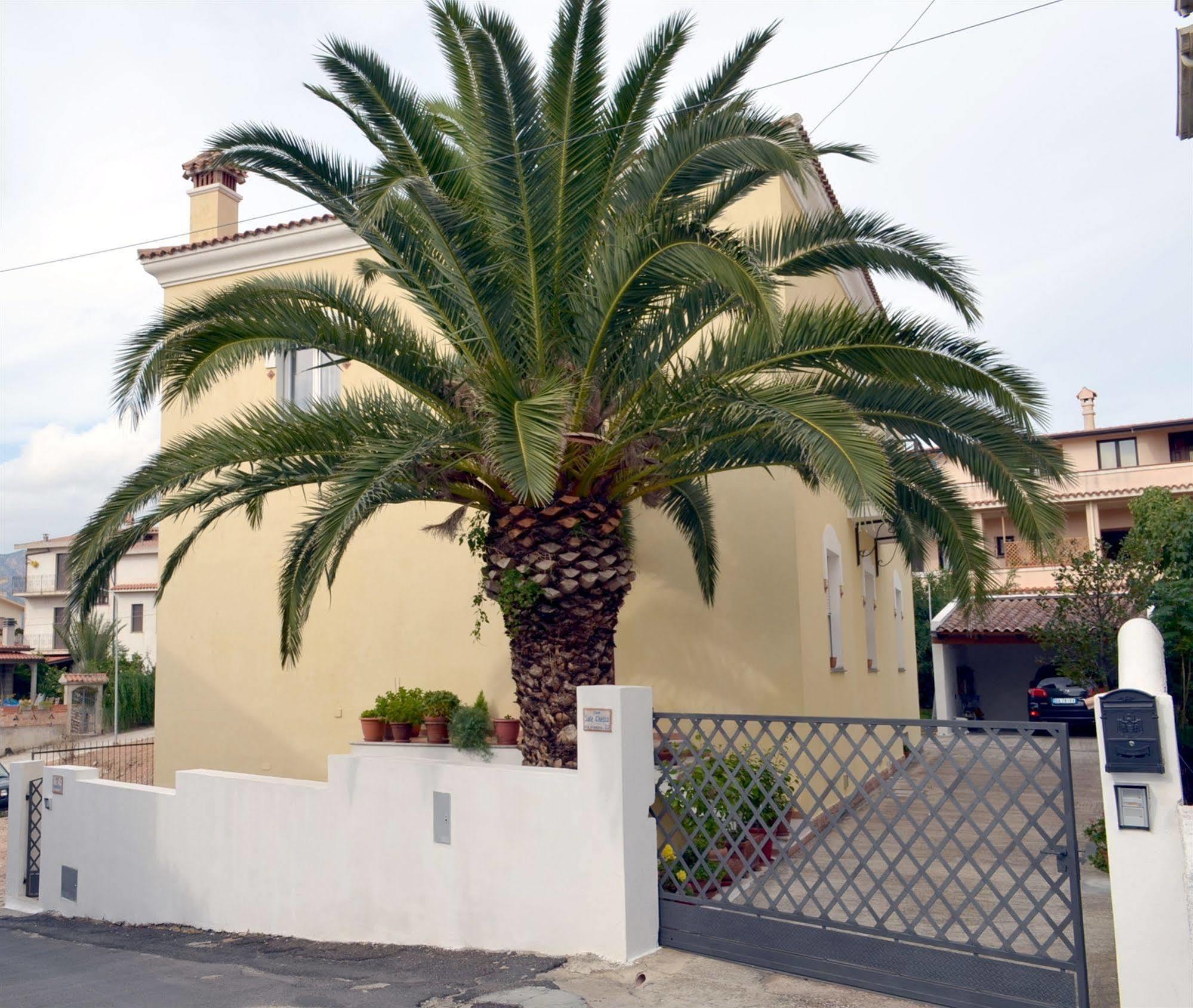 B&B Oliena Exterior photo